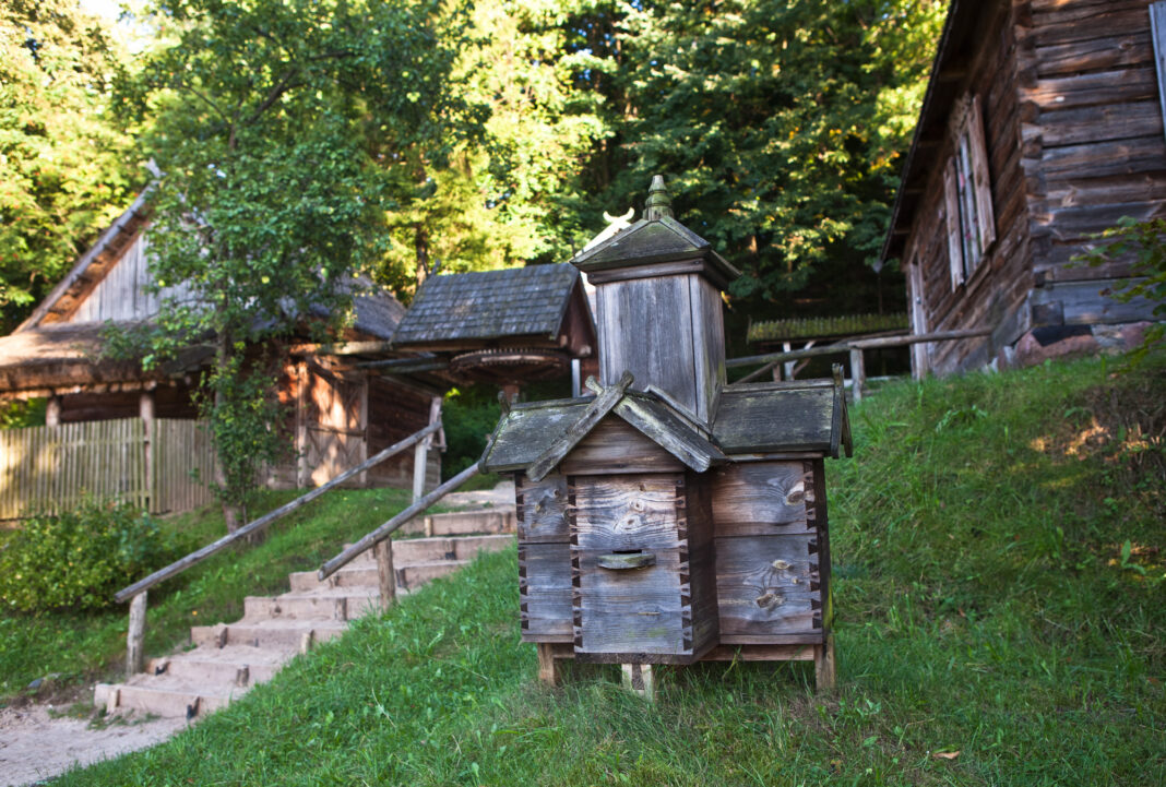 IMG 9306 1068x721 Nowogród nad Narwią