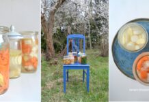 Szybkie domowe kiszonki – podagrycznik, szczypior, boczniaki…