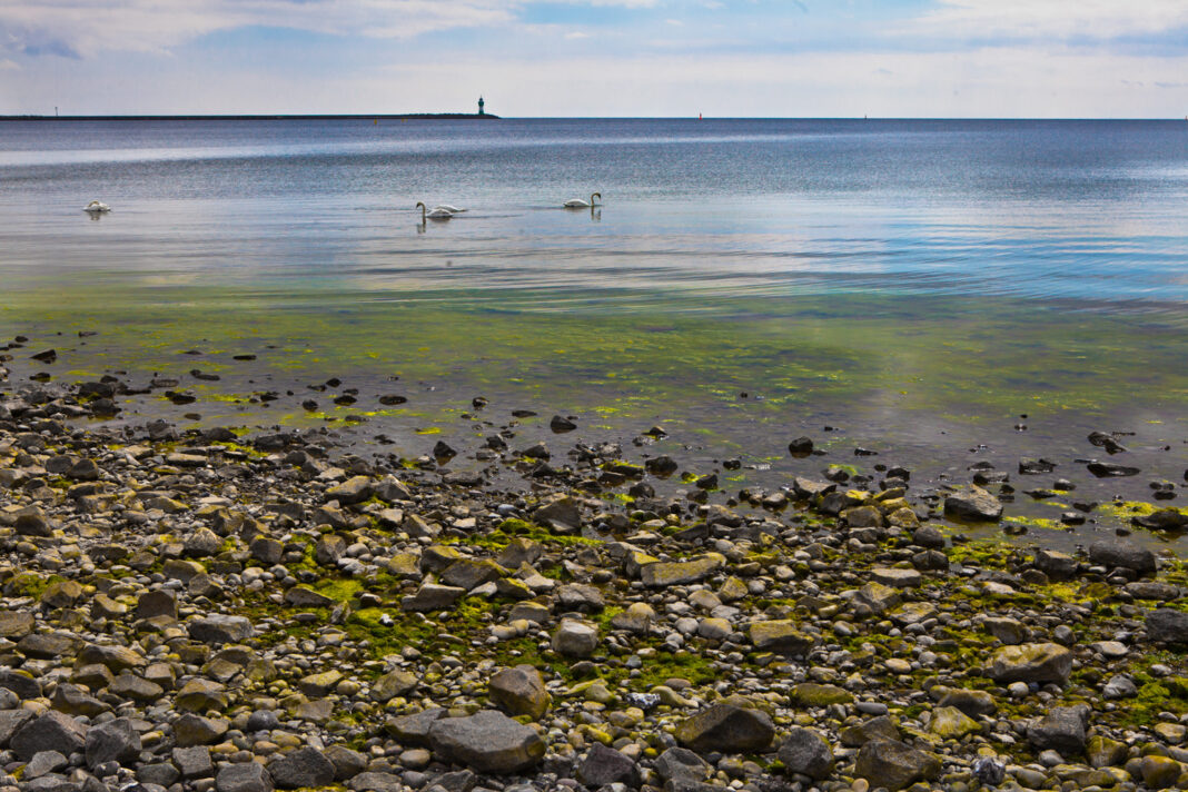 IMG 1548 1068x712 Sassnitz