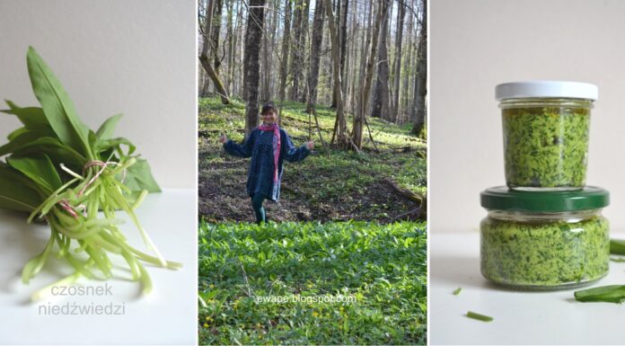 Wegańskie pesto z czosnku niedźwiedziego