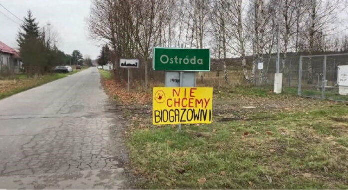 O wiedzy, wolności i gnojowicy